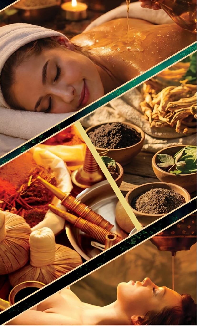 Olive Ayurvedic Wellness Spa Kannur
